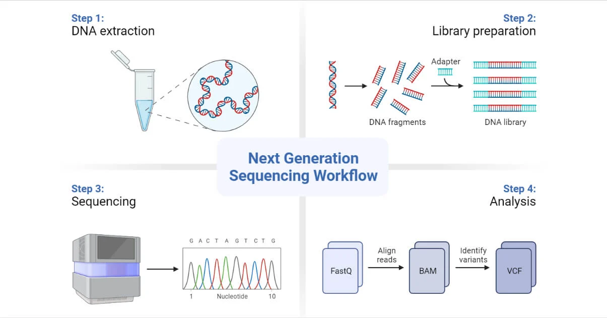 ../../_images/genome_assembly1.png