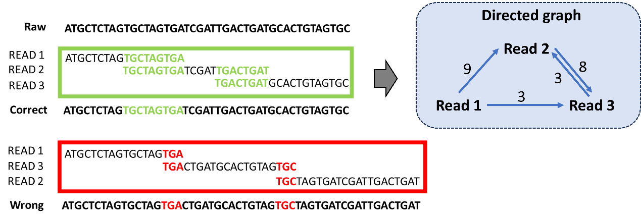 ../../_images/genome_assembly3.png